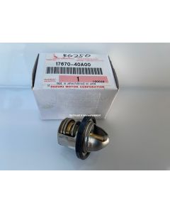 17670-40A00 RG250 thermostat