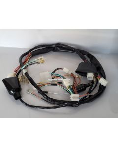 Complete wiring harness GT250 X7 (only 1 available)