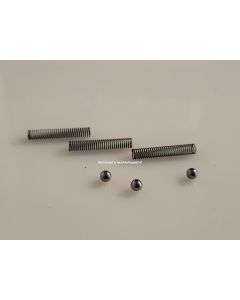 16710-31021 SRIS checkvalve overhaul set 