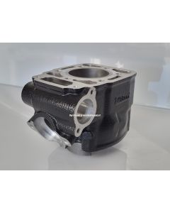 Suzuki RG500 Cylinder No.1 - Race or Standard Port Timing, HIGH-QUALITY German Reproduction